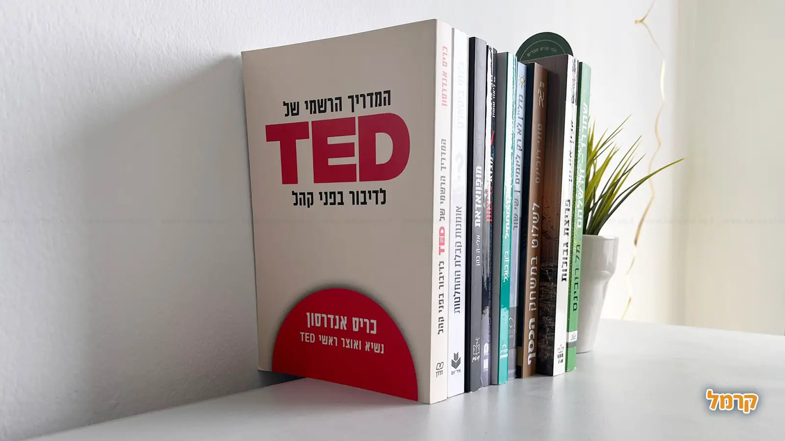חנות ספרים: איפה תקנו את הספר הבא שלכם?